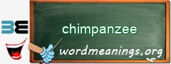 WordMeaning blackboard for chimpanzee